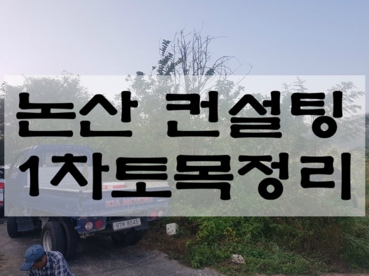 나무재테크 이팝나무 협력농장 논산 묵은 밭 컨설팅 1차 토목정리
