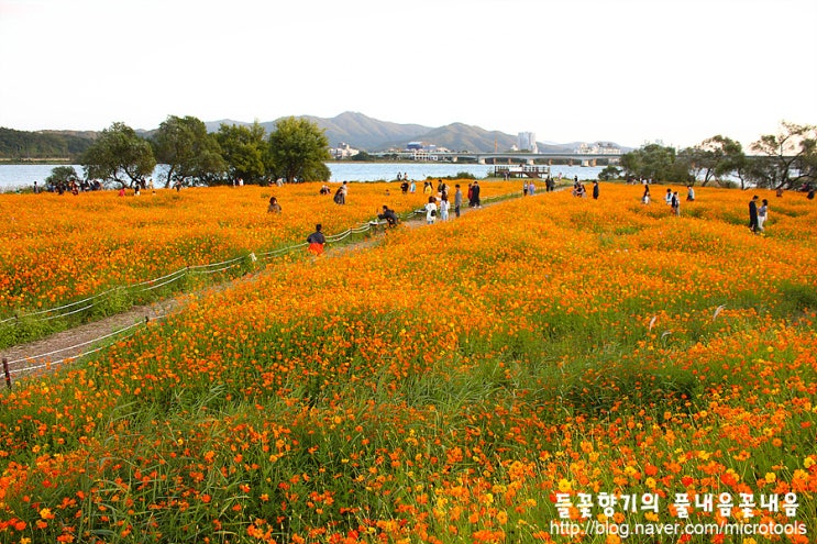 [서울근교 나들이] 남양주 물의정원 / 산책하기 좋은곳