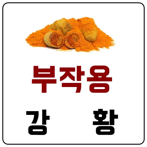 강황가루부작용