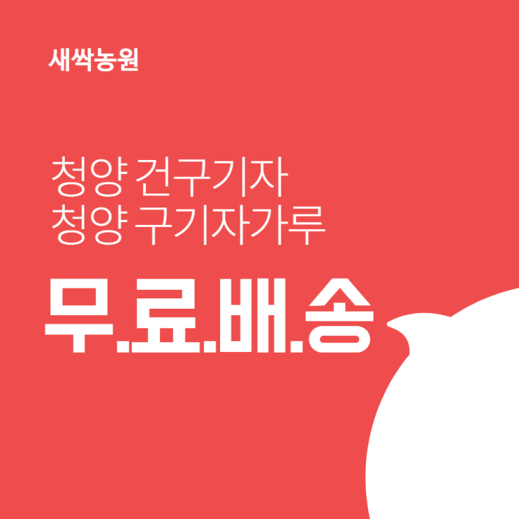 가을 다이어트 저격수 구기자 분말 효능 [구기자 가루 파는곳]