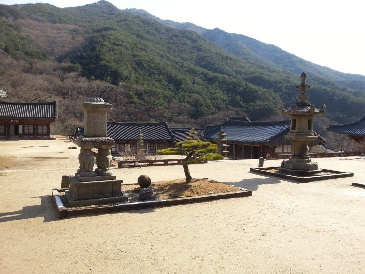 여행 코스  전라남도 구례 화엄사
