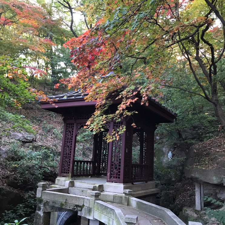 [종로 부암동] 석파정 가을단풍 / 부암동 스코프
