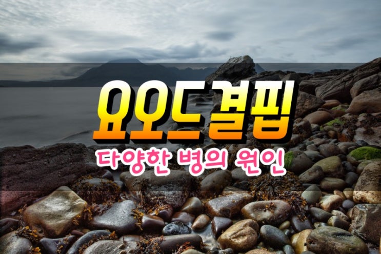 갑상선기능항진증 갑상선기능저하증에 효과가 좋은 요오드 영양제 심층분석