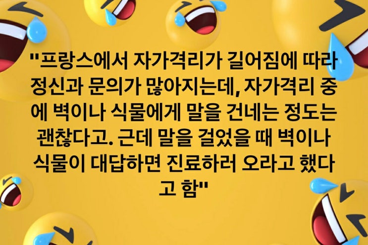 온라인 개학 준비, 백수의 루틴 ( 양재천 산책, 해독주스 드링킹 )