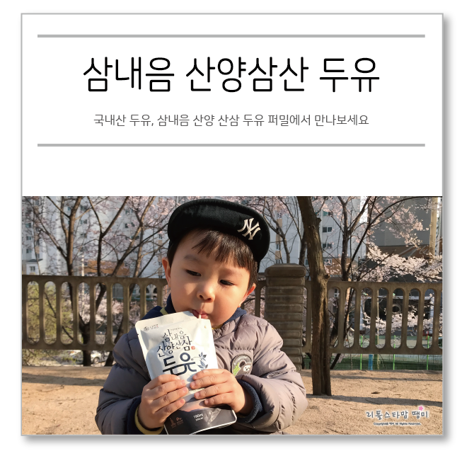 국내산 두유, 삼내음 산양산삼 두유 퍼밀에서 만나보세요