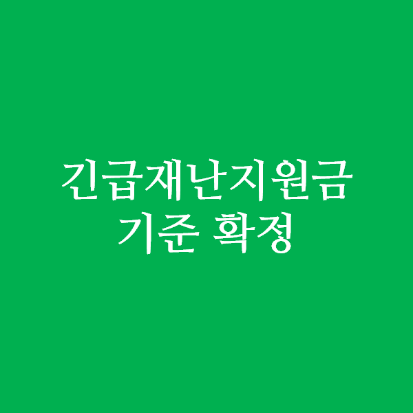 긴급재난지원금 기준 확정