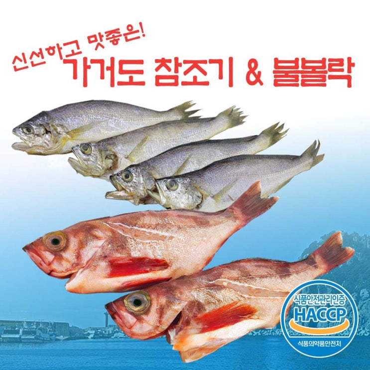 가거도참조기 산지직송 가거도 참조기 프리미엄 6마리+불볼락 대3마리, 1개 추천해요
