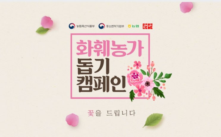 화훼농가돕기 캠페인, 무료 꽃 5,000다발 나눔(ft. 공영쇼핑)