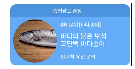6시내고향 상생장터송어 상생장터바다송어 판매 위치 4월 14일 방송