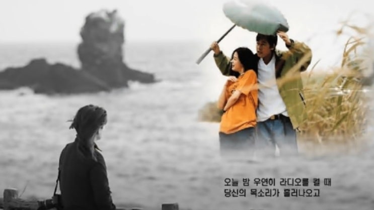 부르지마-김목경