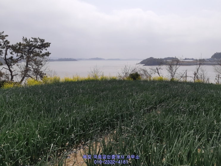 115.해남토지매매,환상의바다조망가능