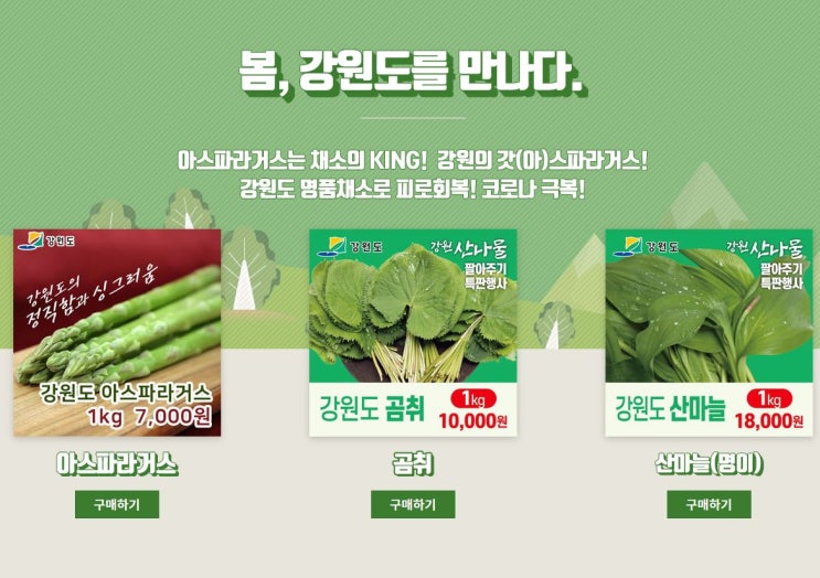 강원도 진품센터 반값 아스파라거스 대란, 핵세일 구입방법