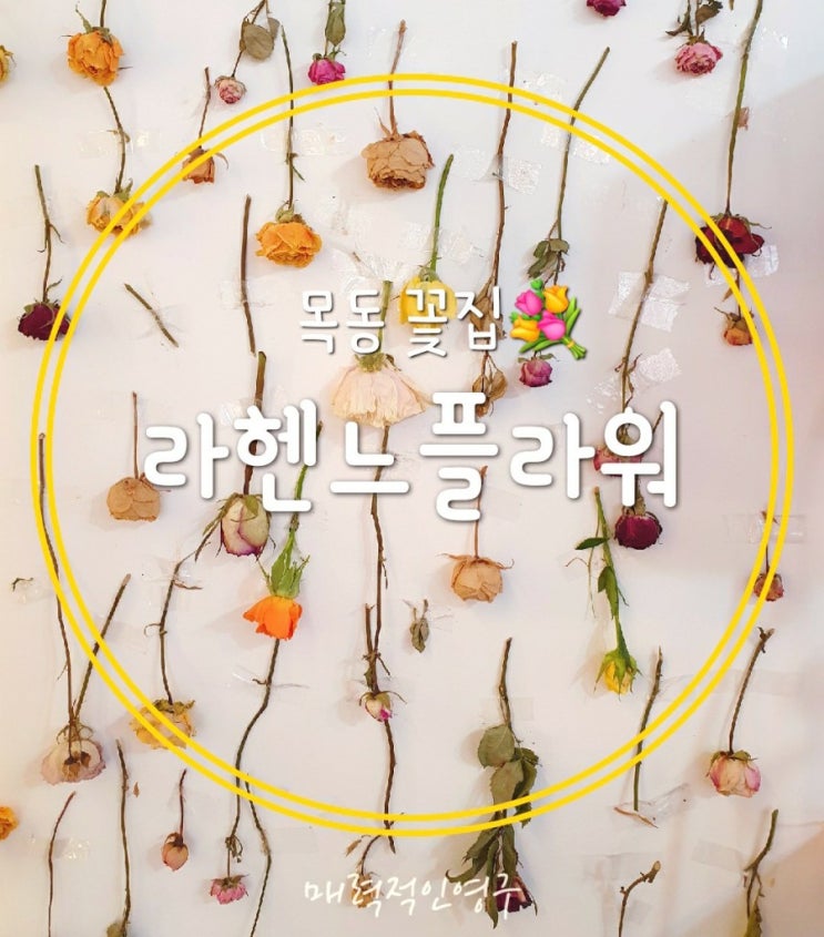 목동꽃집, 라헨느플라워에서 어버이날 꽃다발 준비