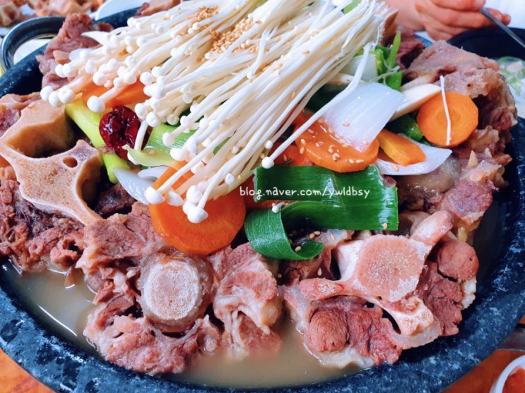 [잠실 석촌호수/송리단길 맛집] 유서 깊은 '본가설렁탕' 소꼬리찜까지 완벽