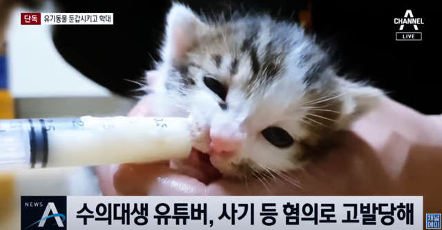 갑수목장 유투버 동물학대로 동물보호단체로부터 고발 당하다