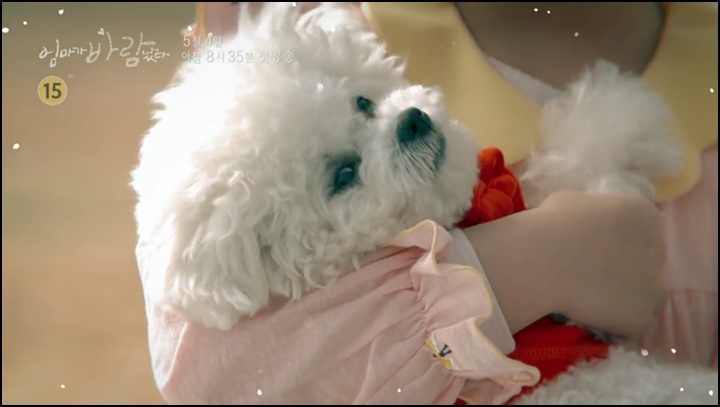 엄마가 바람났다 재방송 1회 2회 3회 4회 5회 다시보기 줄거리 '네 통장이 왜?'