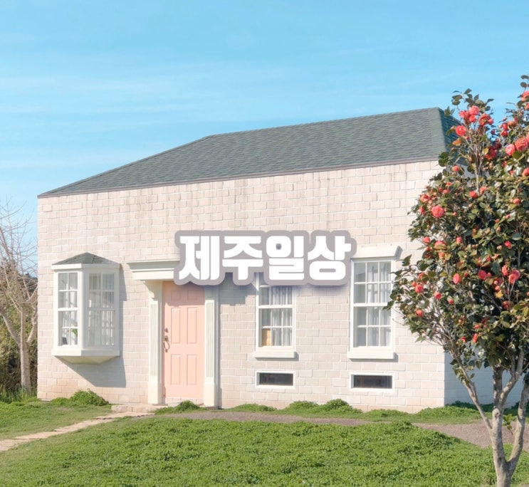 제주살이 기록, 제주 코로나 14번째 확진자가 나왔네요