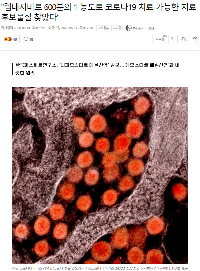 나파모스타트 카모스타트메실산염 관련주총정리