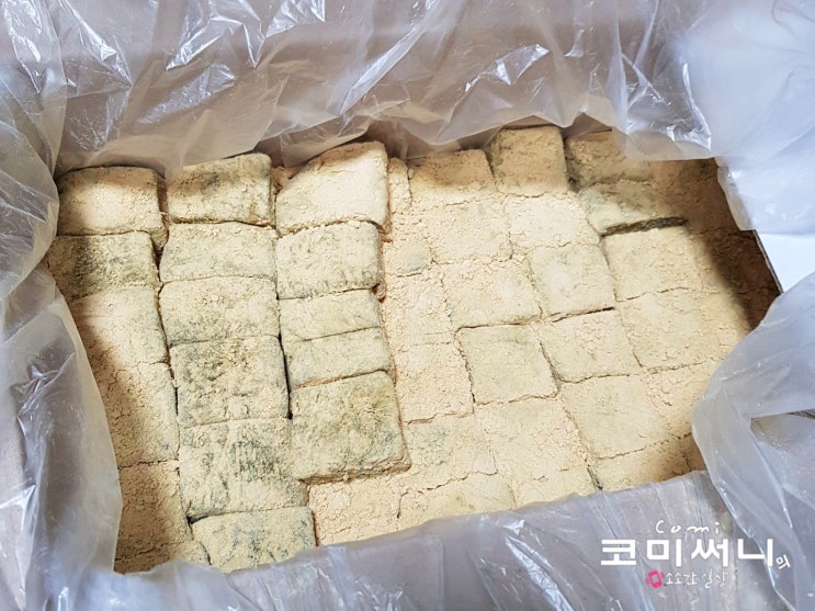 [쑥의 효능과 영양] 증평떡집 직접 캔 쑥으로 쑥 인절미와 쑥설기 증평 서울떡집에서