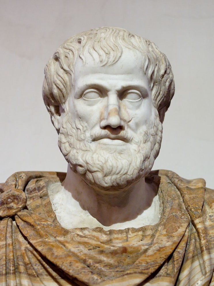 인생 공부, 성공을 향한 아침의 긍정 명언 '자신감' - 40. 아리스토텔레스(Aristotle)