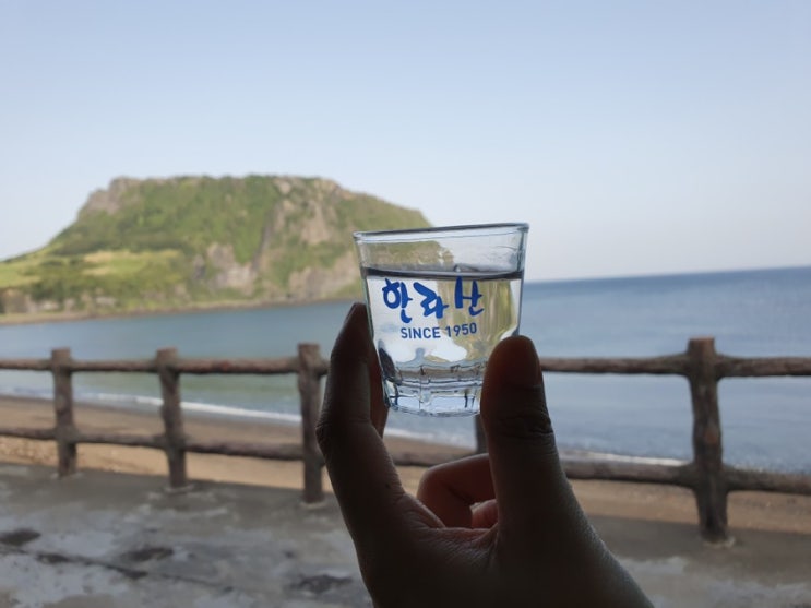 성산일출봉이 한눈에 성산횟집 해촌 갈치회 맛있어요