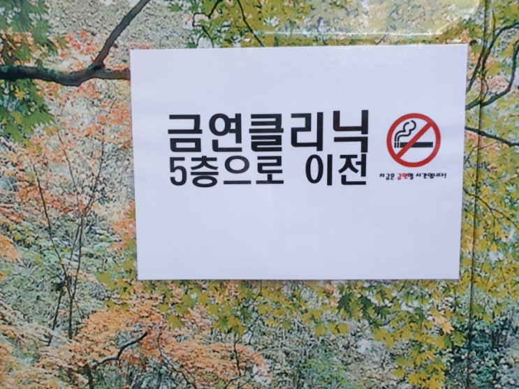 금연을 시작하다. 즐거움 한가지 안한다고 세상이 달라지지는 않을 것 같은데~~~허전하다. 연인을 보낸것 같이 금연을 시작하다. 즐거움 한가지 안한다고 세상이 달라지지는 않을 것 같은데~~~허전하다. 연인을 보낸것 같이