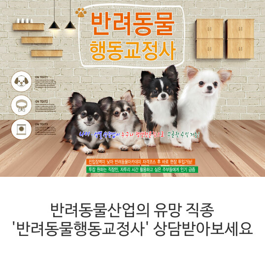 반려동물의 수가 급속히 증가하면서 반려동물과 사람이 좋은 관계를 유지할 수 있도록 도움을 주는 전문가의 필요성이 대두되고 있습니다. 반려동물의 수가 급속히 증가하면서 반려동물과 사람이 좋은 관계를 유지할 수 있도록 도움을 주는 전문가의 필요성이 대두되고 있습니다.