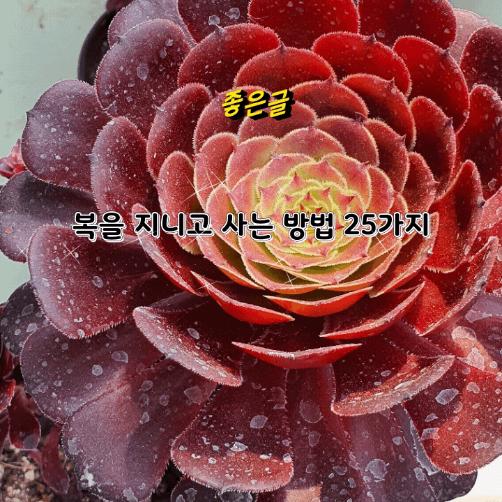 좋은글]복을 지니고 사는 방법 25가지 