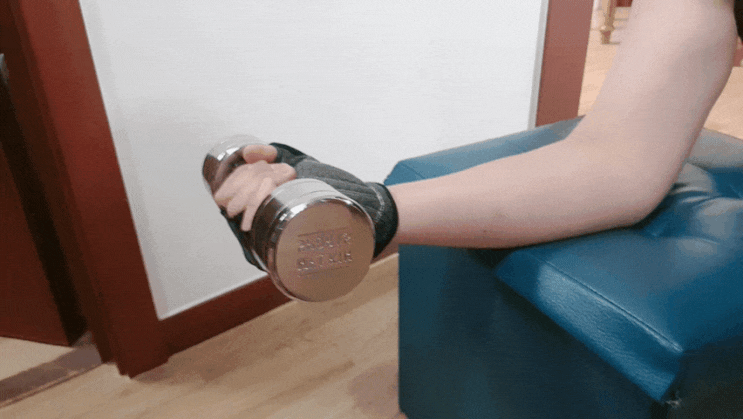 크롬 아령 홈트레이닝 하기 좋은 멜킨으로 꾸준히! 크롬 아령 홈트레이닝 하기 좋은 멜킨으로 꾸준히!