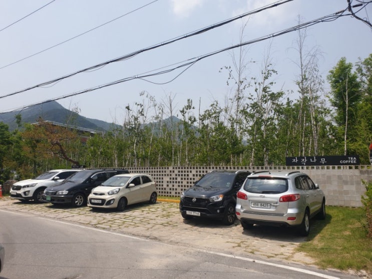[자작나무 커피] 대전 현충원 근처 분위기 좋은 카페 