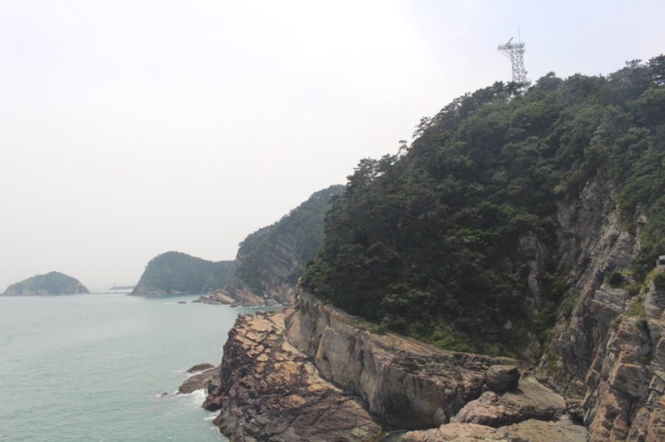 부산가볼만한곳 추천:)오픈당일 날 방문한 '송도용궁구름다리' 솔직한 후기!