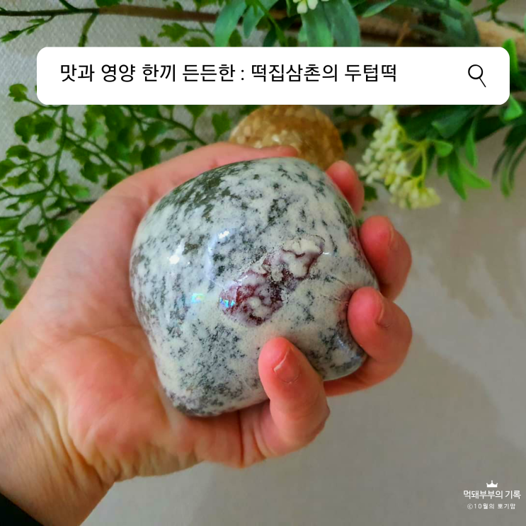 건강과 맛을 책임지는 떡집삼촌의 두텁떡 아침 대용식으로 추천해요