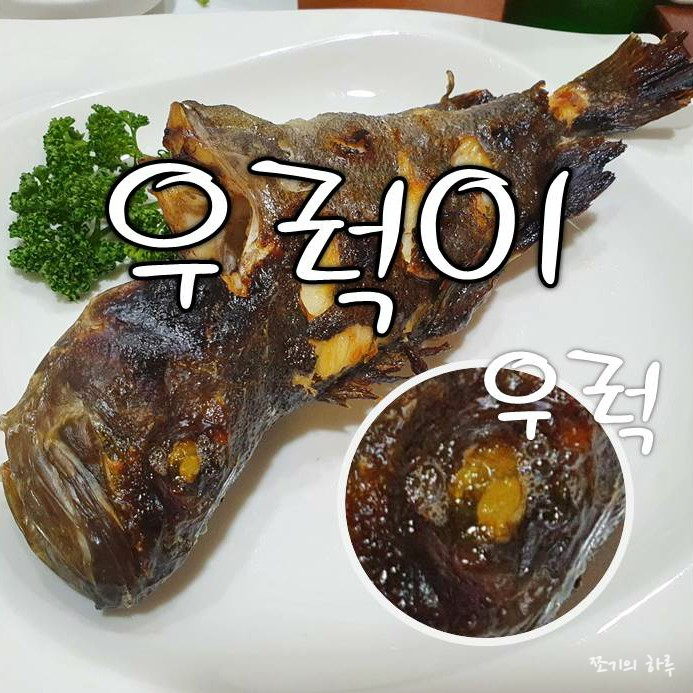 야탑횟집 - 후포항