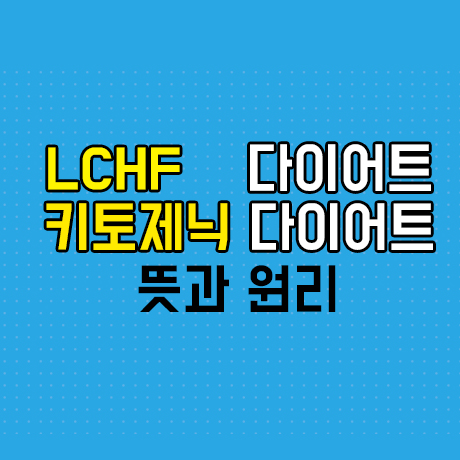 LCHF 다이어트, 키토제닉 다이어트 뜻과 원리