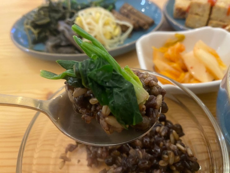 채식다이어트 | 1350칼로리, 과일식, 현미채식, 식물성 단백질, 하체어깨운동, 율동공원 야간러닝