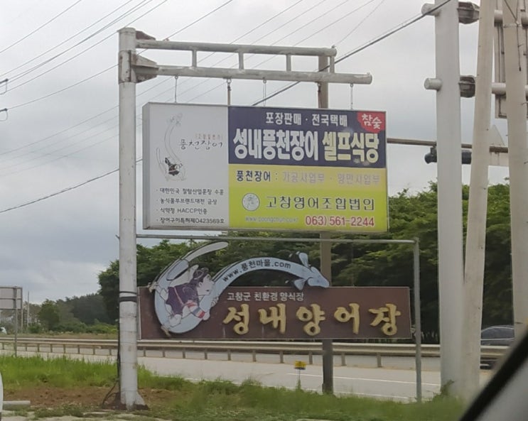 [고창맛집]고창 성내풍천장어   셀프식당,성내양어장