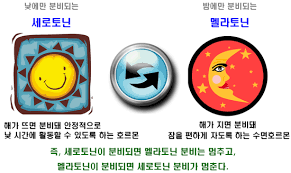 불면증영양제 멜라토닌 효능 부작용 : 불면증 스트레스 암예방 심혈관예방 멜라토닌권장량