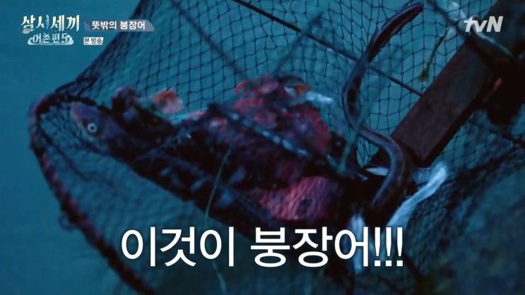 삼시세끼 어촌편5~ 8회 재방송 다시보기 내용! 어복터진 유해진 덕분에 맛보는 찐 어촌밥상.. 쏨뱅이 붕장어.. 그리고 문어짬뽕까지? 게스트 이서진은 다음 회에..과연 몇부작일까?