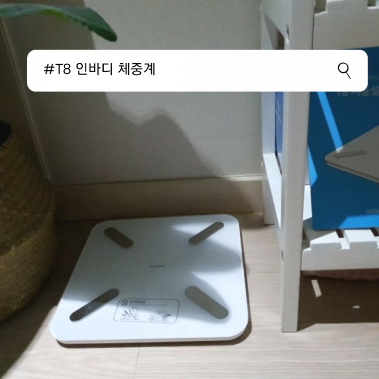 앳플리 T8 인바디 체중계 체성분 비교하여, 체중 관리해요