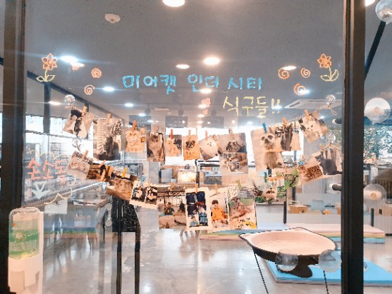 [카페] 동물과 교감할 수 있는 이색동물카페 