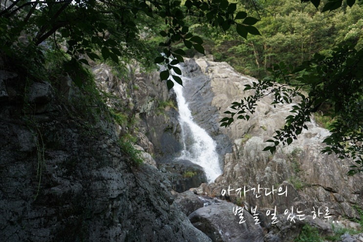 진해 마천동 용추폭포 무더운 여름 용추계곡에 발 담그고 왔어요.