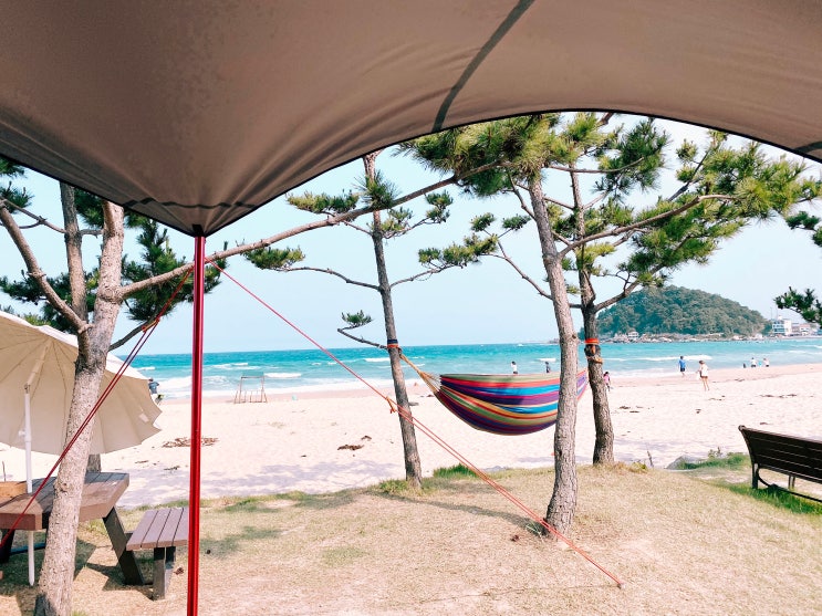 양양여행 - 죽도해변 근처 동산포해수욕장에서 캠핑, 서핑 후기