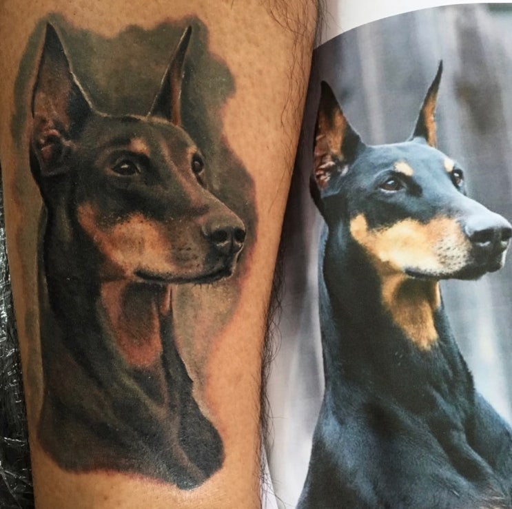 [반려견 타투] 자세히 알고싶어! 도베르만 타투 - Tattoo by 의정부타투 화담