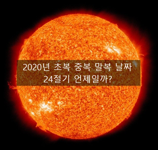 2020년 초복 중복 말복 날짜 복날엔 뭐? 삼계탕