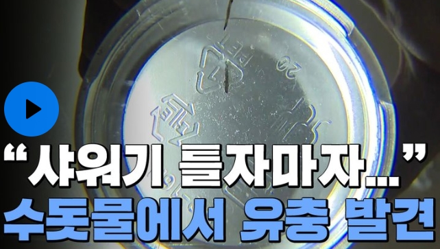 샤워기 필터, 꿈틀거리는 유충 발견 '청와대 국민청원 등장'