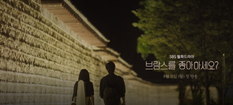 [SBS]8월 방영 월화드라마 브람스를 좋아하세요? 내용/인물관계도
