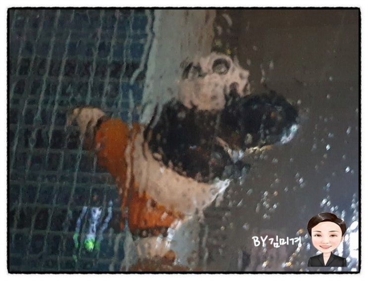 장유 부산 비가 오는 거리