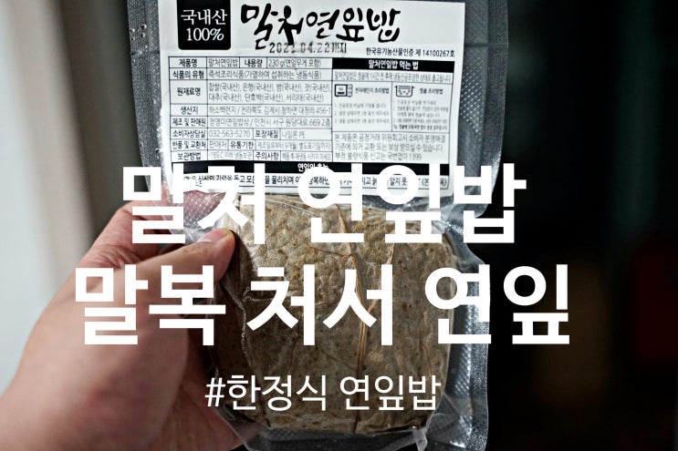 정영미 연잎밥상 말복과 처서에 자란 잘 익은 갈색연잎으로 만든 말처연잎밥 시식 후기