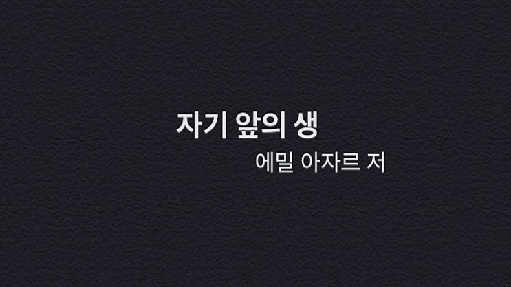 내 앞의 생을 찾아서 - 자기 앞의 생(에밀 아자르 저)