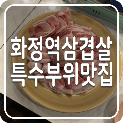 화정 삼겹살 돼지고기 특수부위 맛집 접시고기 화정점